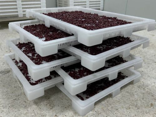 Latest company news about Thiết bị đóng gói Softgel là gì?